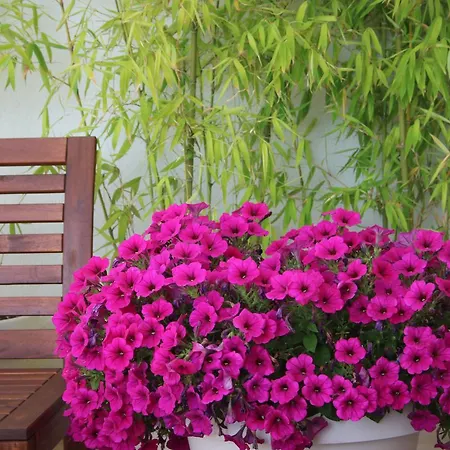 Mare Nostrum Hotel *